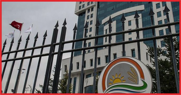 “TOHUMDA DIŞA BAĞIMLI DEĞİLİZ”