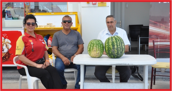 TOKLU PETROL ÜRETİCİNİN YANINDA