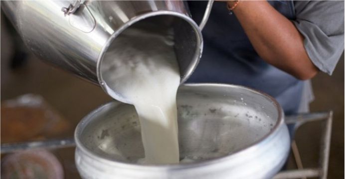 TOPLANAN İNEK SÜTÜ MİKTARI AZALDI