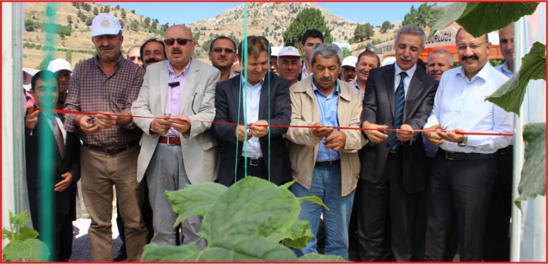 “TOROSLARDA YAZ SERACILIĞI PROJESİ”