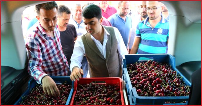 TOROSLARDAN ÇİN VE RUSYA’YA KİRAZ İHRACATI
