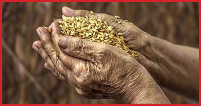 TÜRK TARIM ÜRÜNLERİ İÇİN MARKALAŞMA ATAĞI