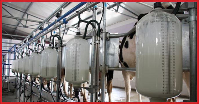 “TÜRKİYE’NİN SÜTÜ KENDİSİNE YETER”