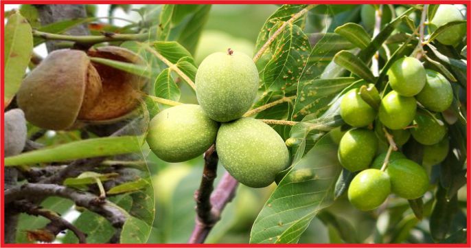 ÜÇ ÜRÜNE TEŞVİK GELİYOR