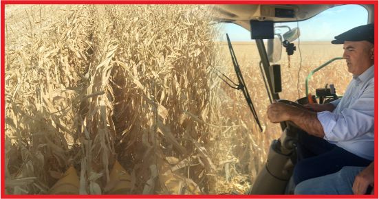 “ÜRETİCİMİZİN ALINTERİNE SAYGI DUYALIM”