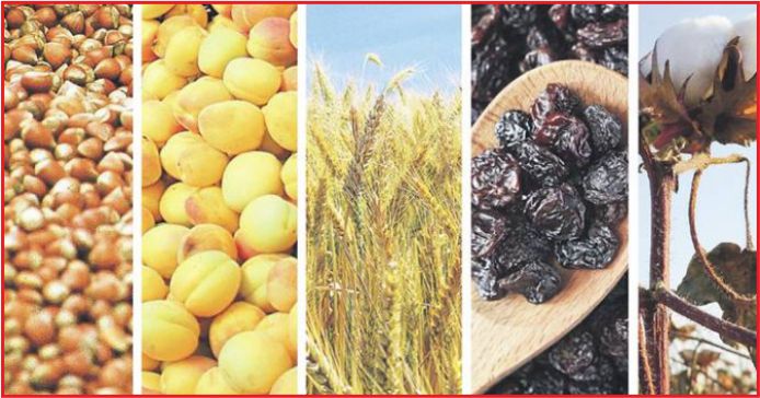 ÜRÜN İHTİSAS BORSASI'NDA GERİ SAYIM