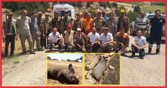 YABAN DOMUZU SÜREK AVI DÜZENLENDİ