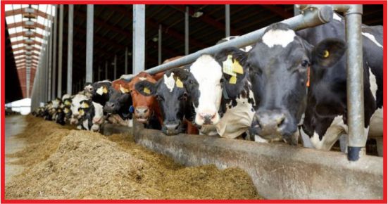 YEMDE 8 LİRALIK İNDİRİM