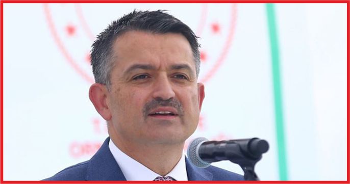 YENİ MISIR EKONOMİYE KATKI  VERECEK