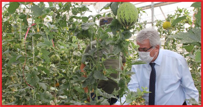 “YERLİ TOHUMDA TARİHİ BİR ADIM”