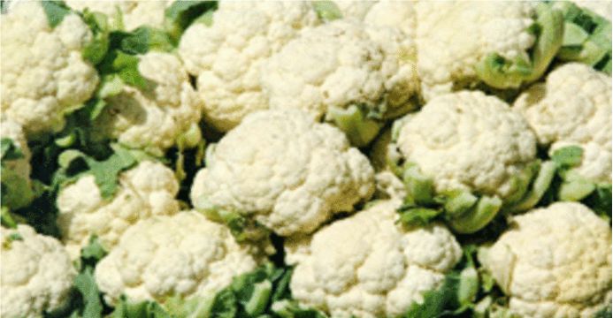 ZAM ŞAMPİYONU KARNABAHAR OLDU