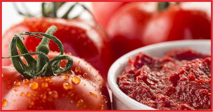 ZAM ŞAMPİYONU SALÇA OLDU