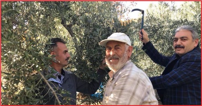 “ZEYTİN ÜRETİCİLERİMİZ TUŞA GETİRİLİYOR”
