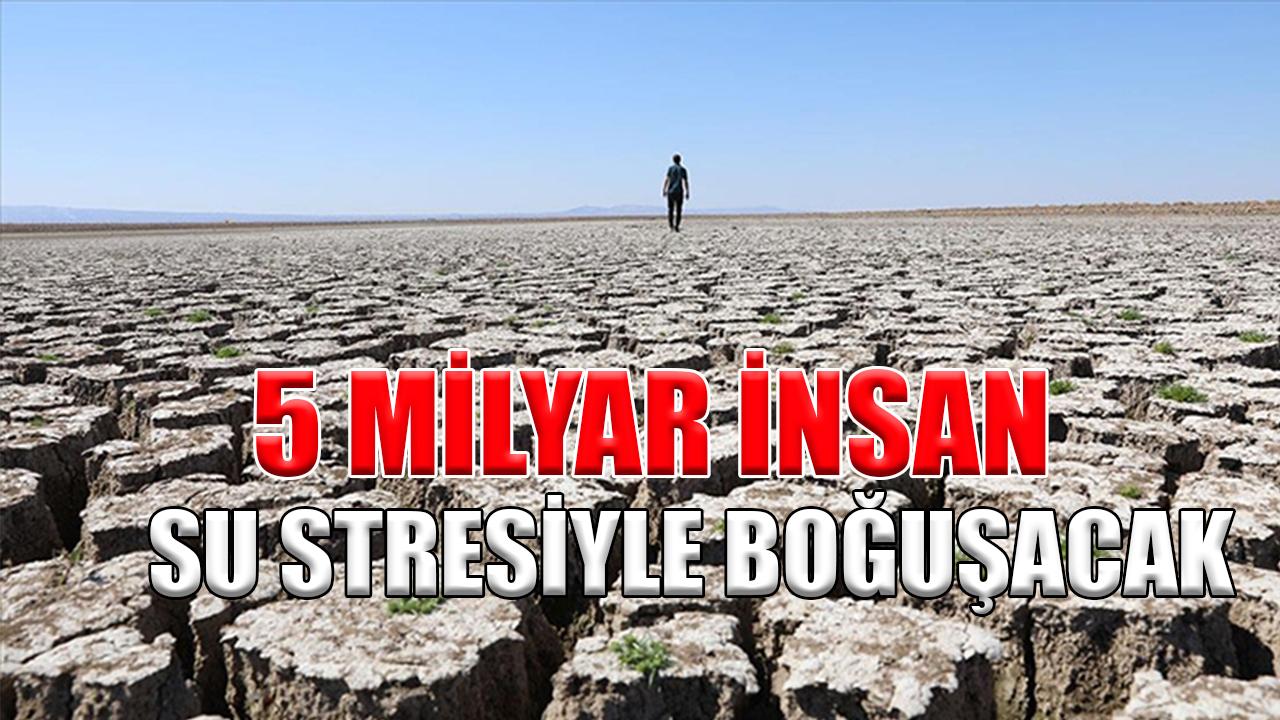 5 milyar insan su stresiyle boğuşacak