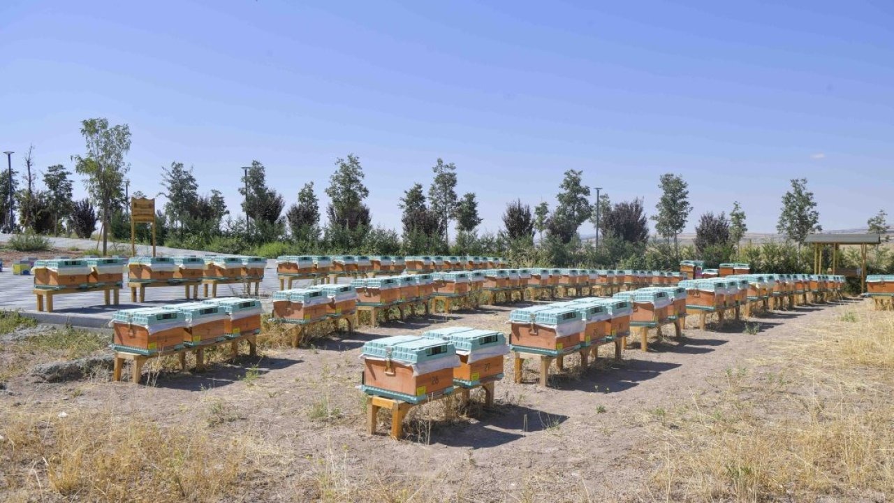 ABB, &quot;Arıcılık Araştırma, Üretim ve Eğitim Merkezi&quot; kurdu