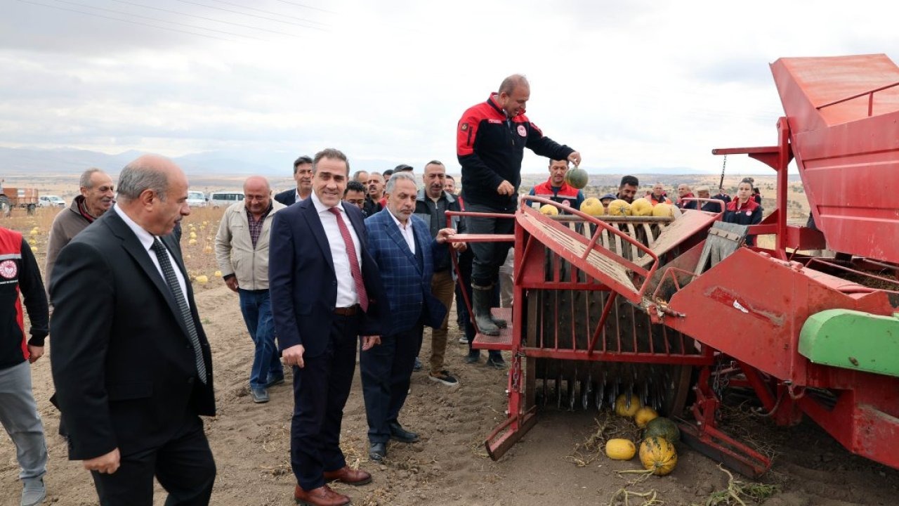 Başkan Yalçın, kabak hasadına katıldı