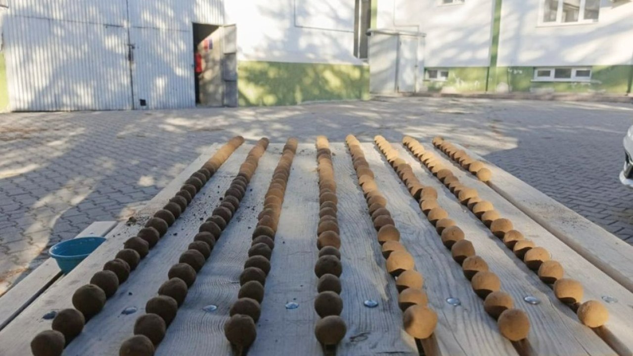 Beypazarı TMO'nun hazırladığı proje kapsamında yaklaşım 20 bin "tohum topu" üretildi