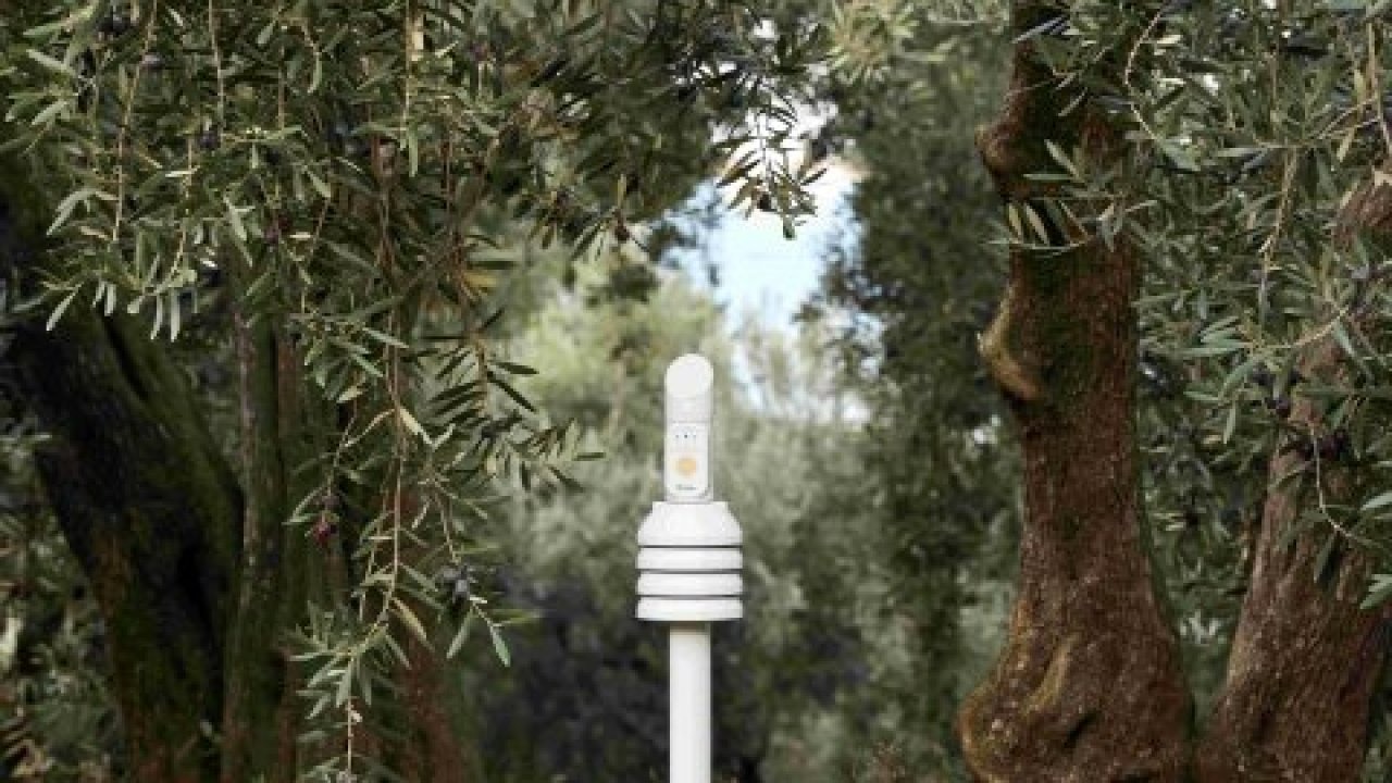 Cargill'in "1000 Çiftçi 1000 Bereket" programı yedinci yılında