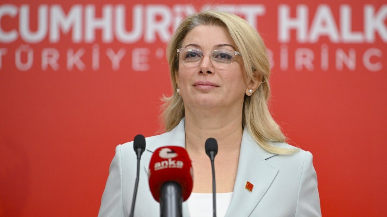 CHP Kadın Kolları Genel Başkanı Kaya, basın toplantısı düzenledi: