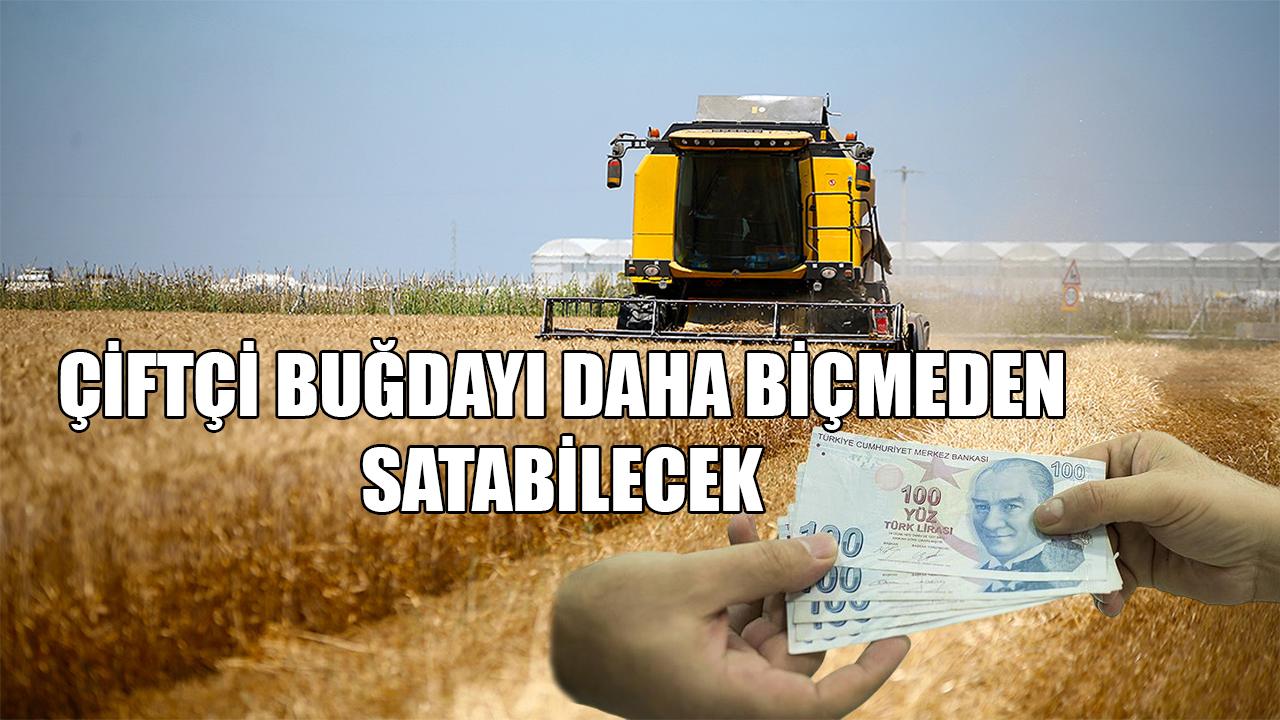 Çiftçi buğdayı daha biçmeden satabilecek