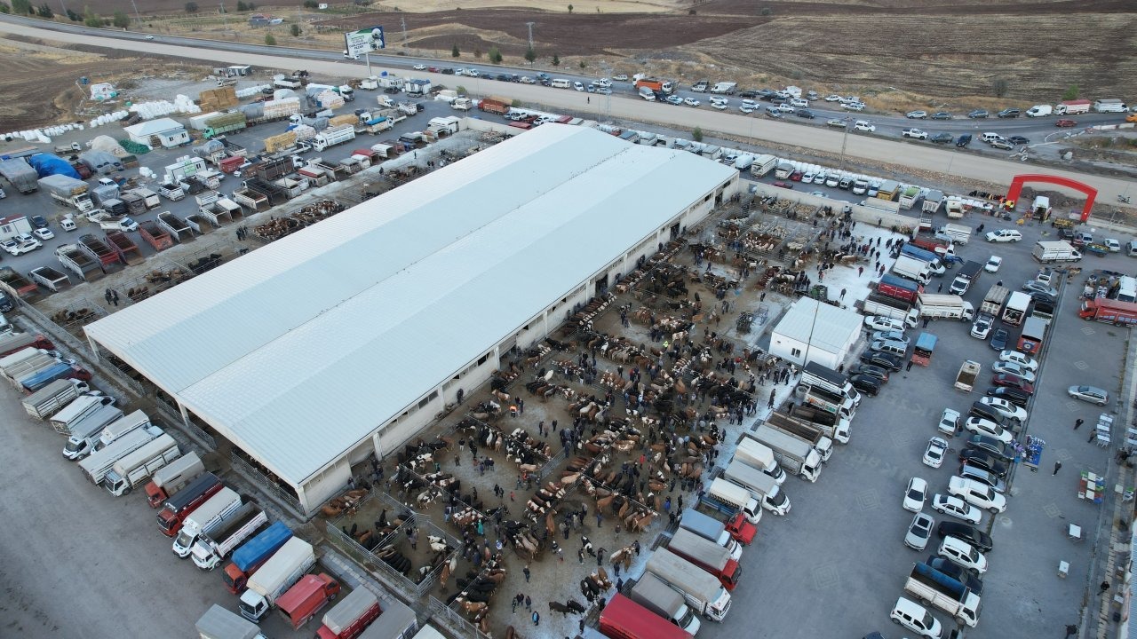 Çubuk Kaymakamı Bakır ve Belediye Başkanı Demirbaş canlı hayvan pazarını ziyaret etti