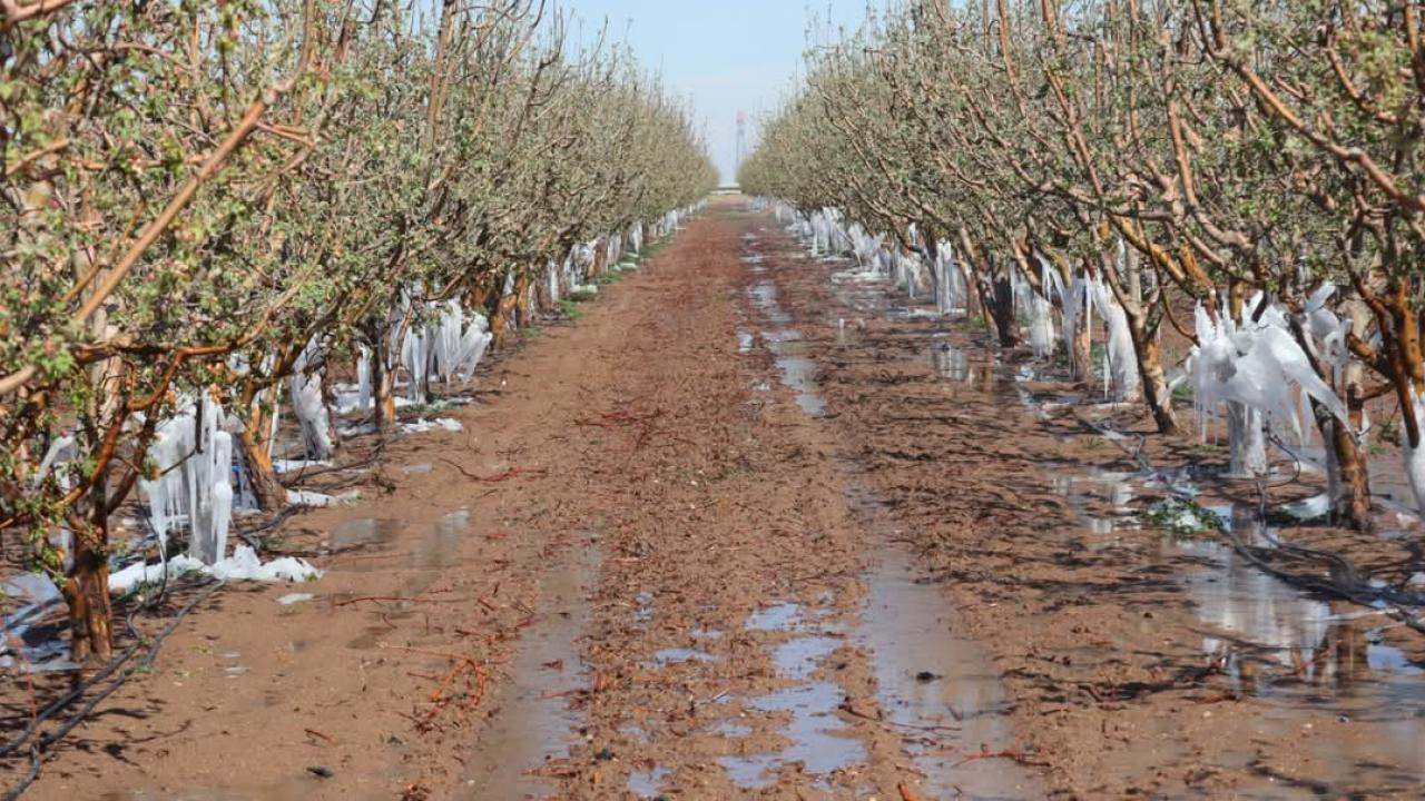 Donun yaraları sarılıyor