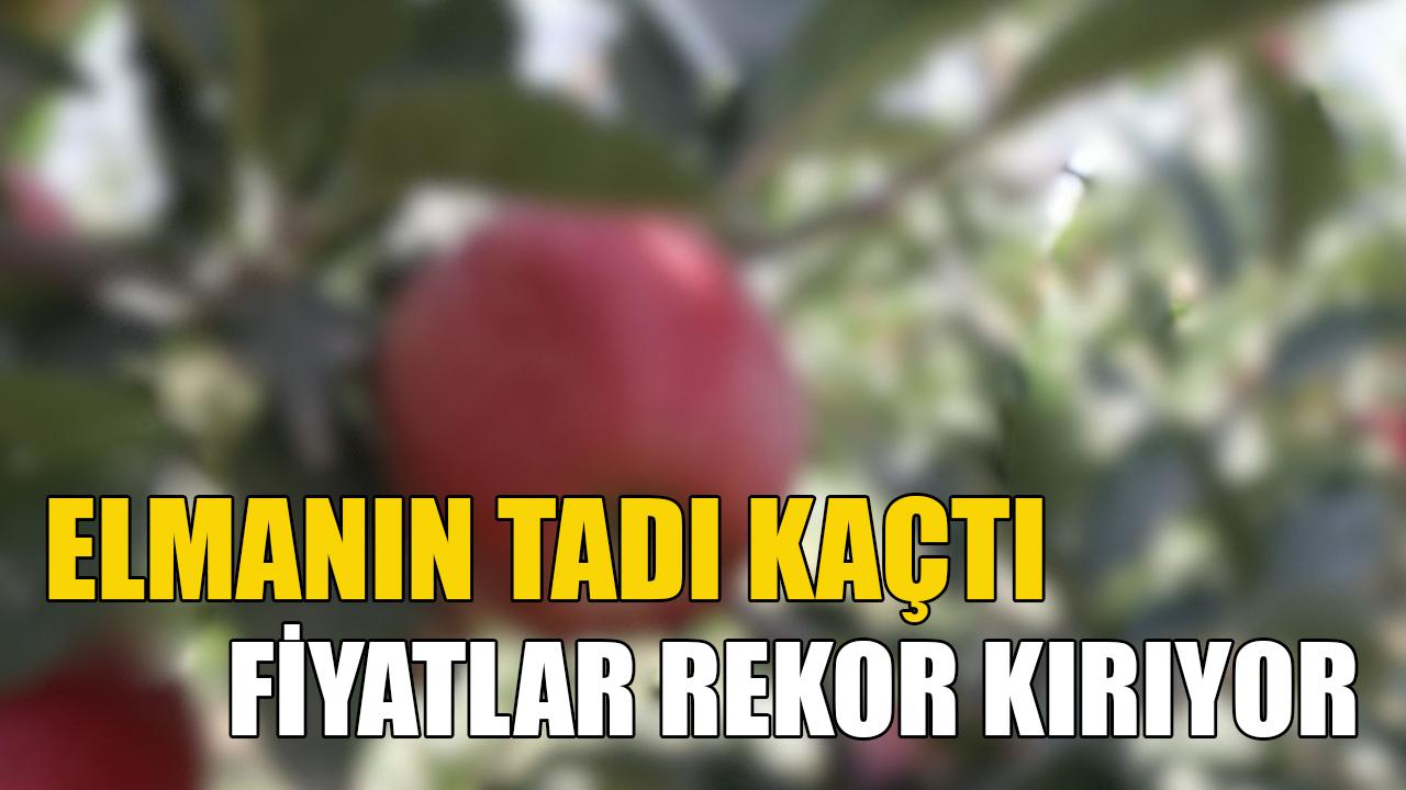 Elmanın tadı kaçtı