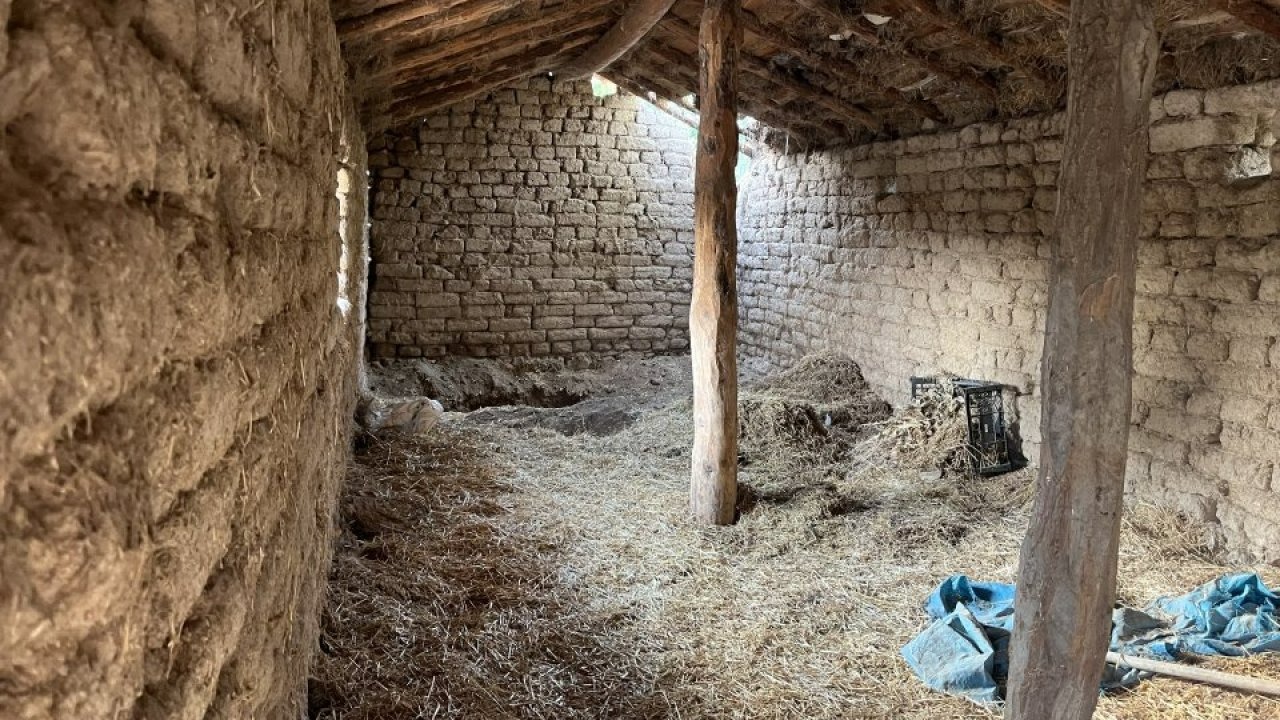 GÜNCELLEME - Eskişehir'de 14 yıldır kayıp olan kardeşini öldürdüğü belirlenen zanlı tutuklandı