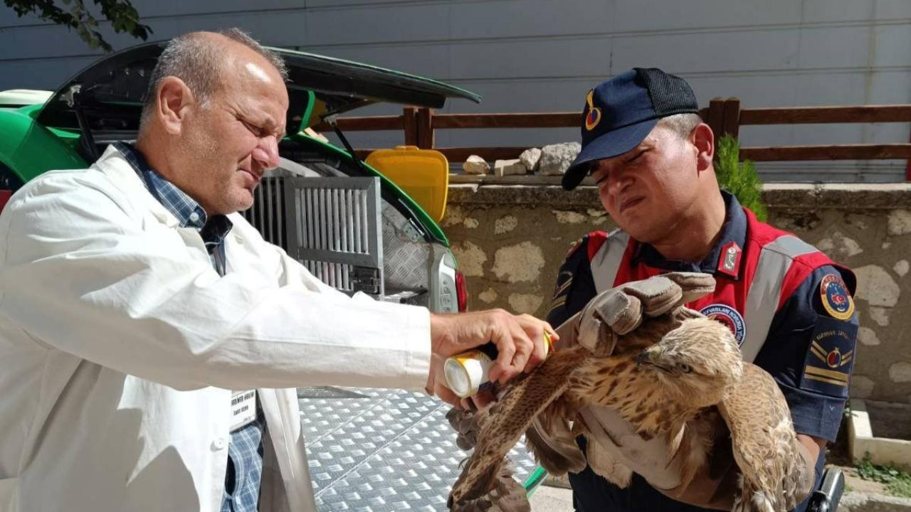 HAYDİ Timi bu kez kızıl şahine kanat oldu