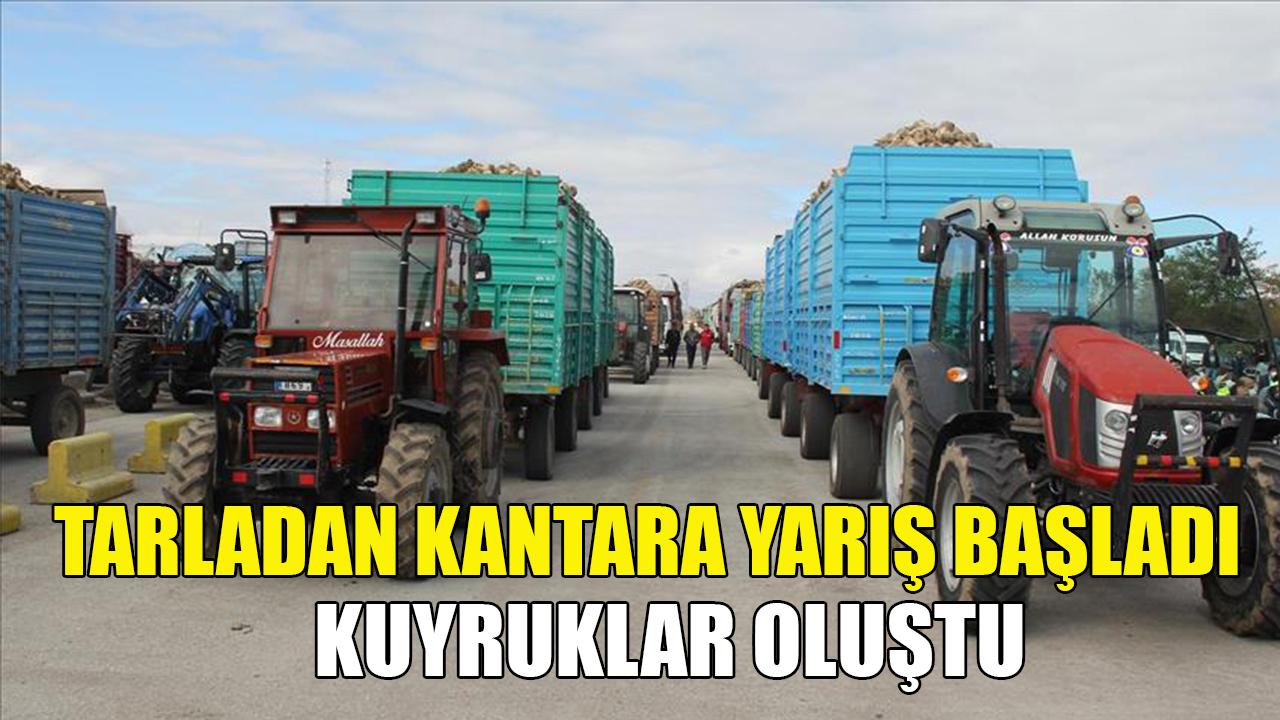 Karaman&#039;da tarladan kantara yarış başladı
