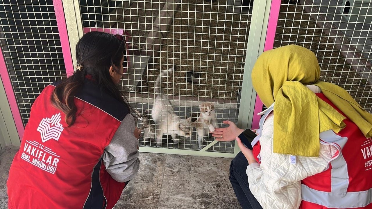 Kayseri Vakıflar Bölge Müdürlüğü çalışanları kedi barınağını ziyaret etti
