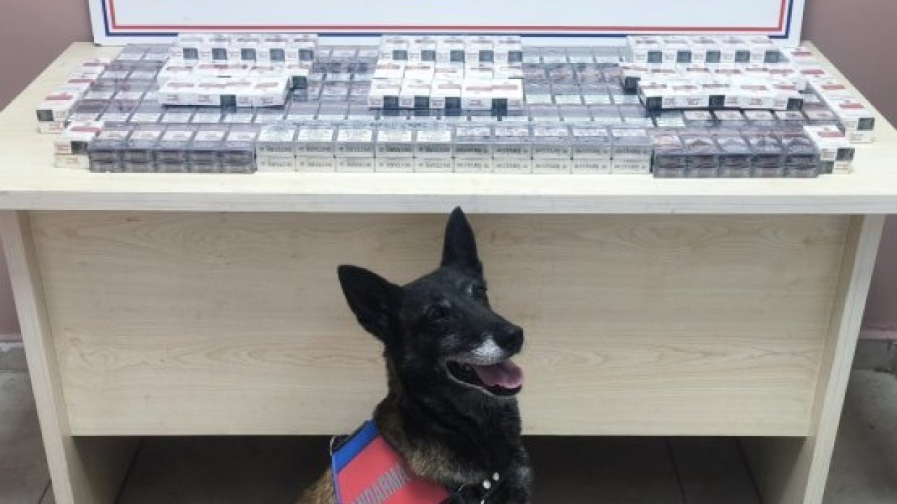 Kayseri'de 320 paket bandrolsüz kaçak sigara ele geçirildi