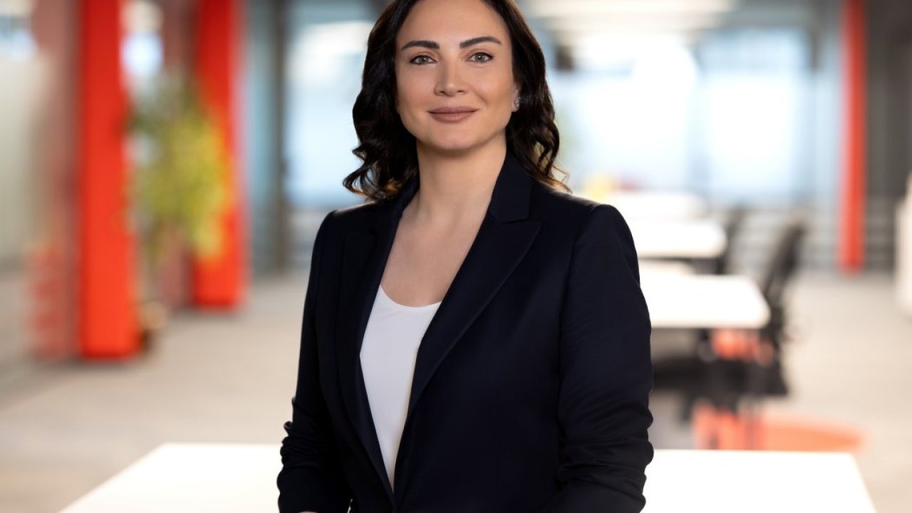 Logo Yazılım ve Visa&#039;dan &quot;Ticari Kredi Kartı Hareketlerinin Aktarımı&quot; hizmeti