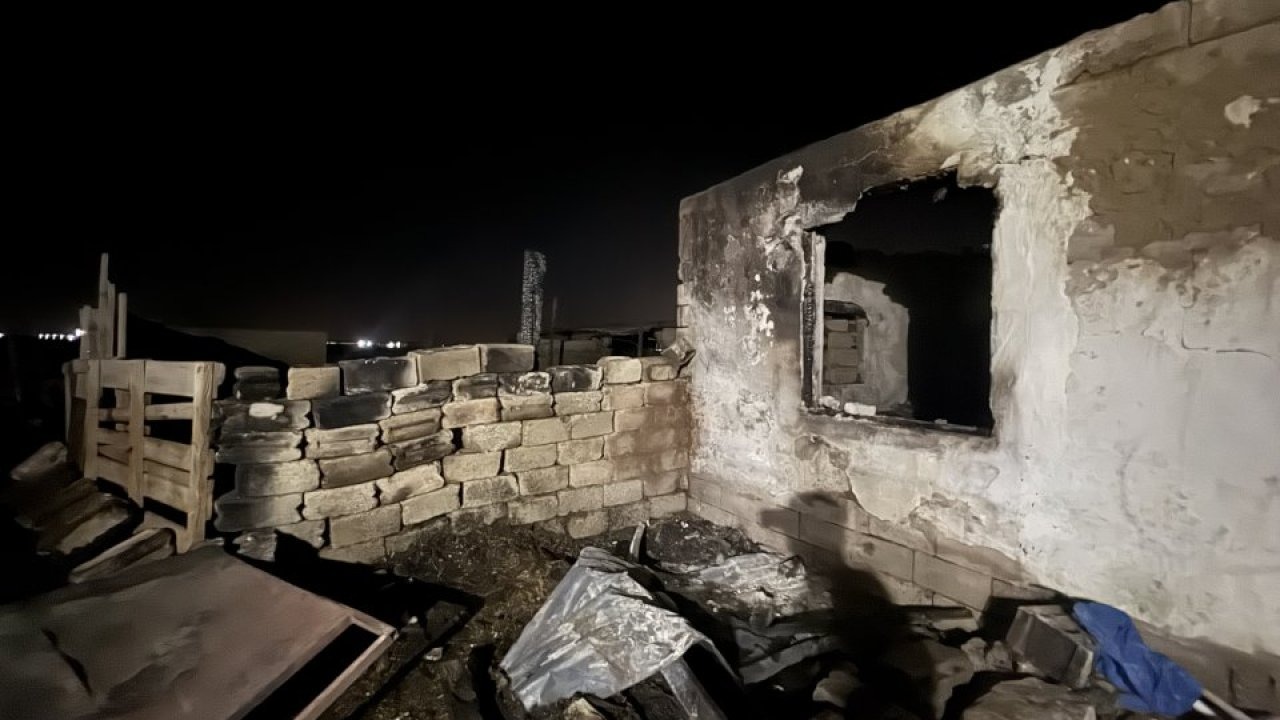 Niğde'de ahırda çıkan yangında 170 koyun telef oldu