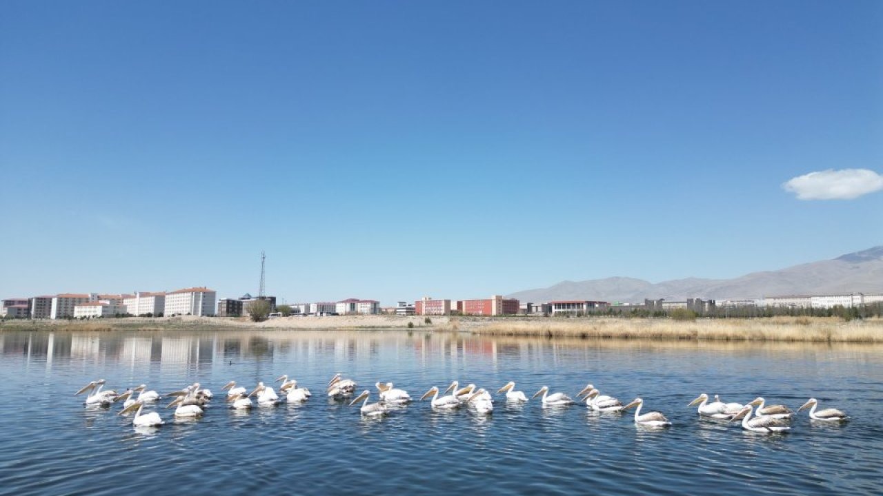Niğde'deki barajların doluluk oranı kuraklık nedeniyle düştü