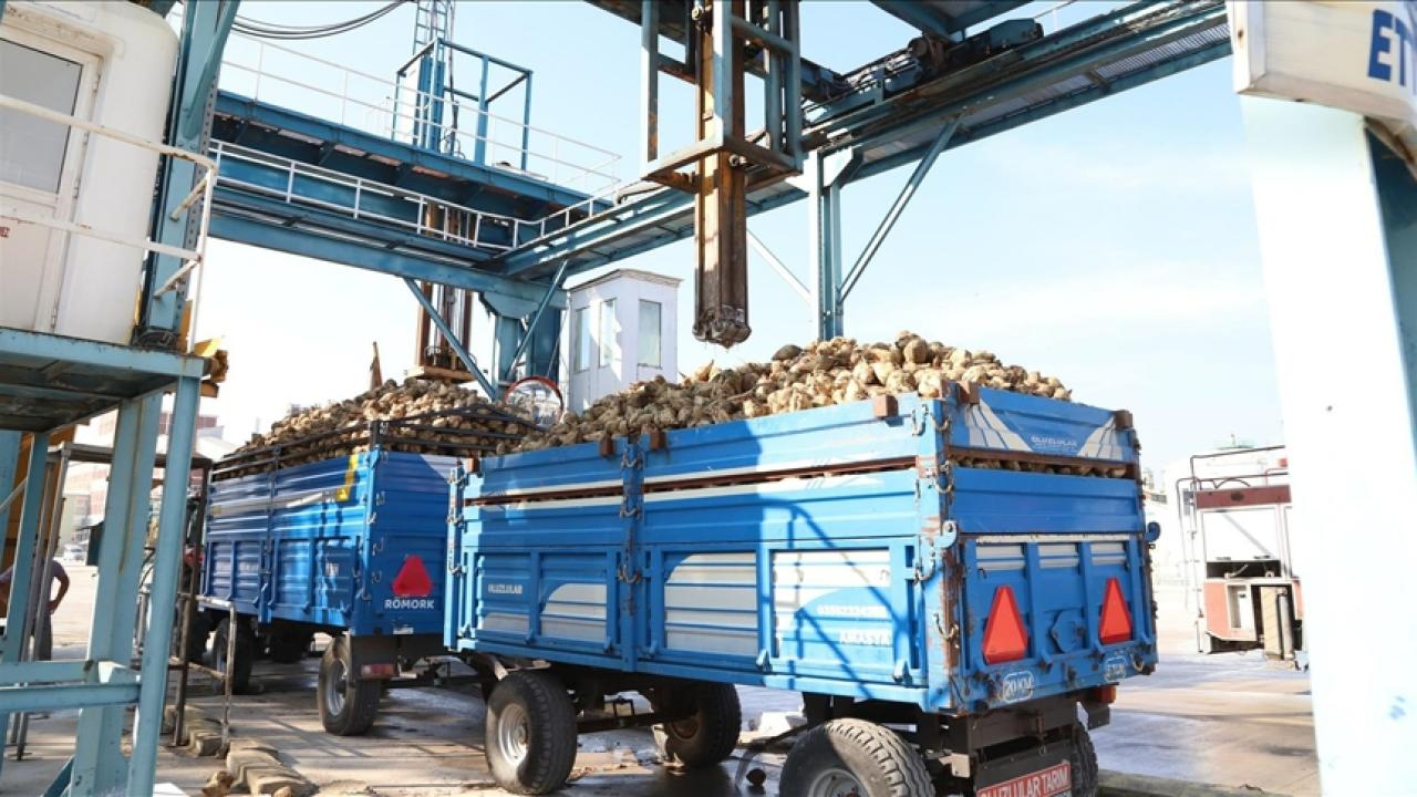 “Pancarda taşıma ve alım sorunu büyüyor”