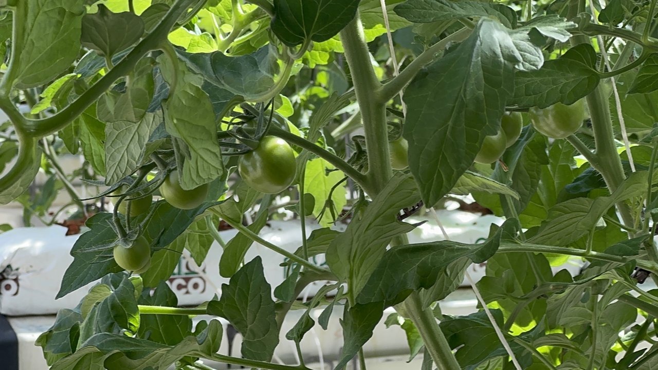 PANKOBİRLİK Genel Başkanı Erkoyuncu, Konya&#039;da basın mensuplarıyla buluştu