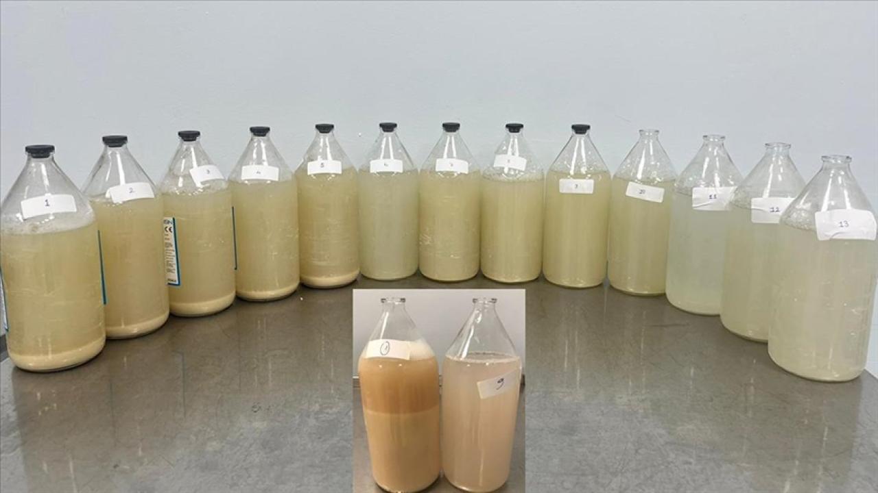 Rahat nefes alıyorlar