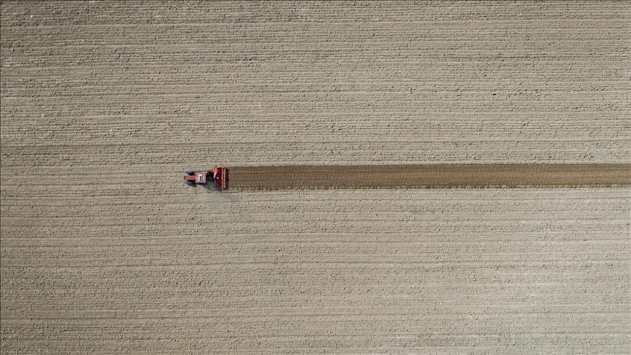 Tarım ÜFE eylülde aylık bazda yüzde 5,8 arttı