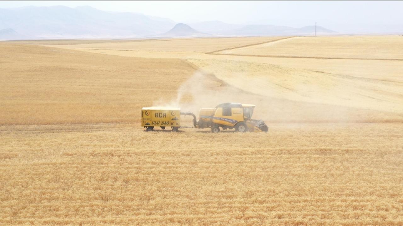 TARSİM’den üreticilere hasar ödemesi