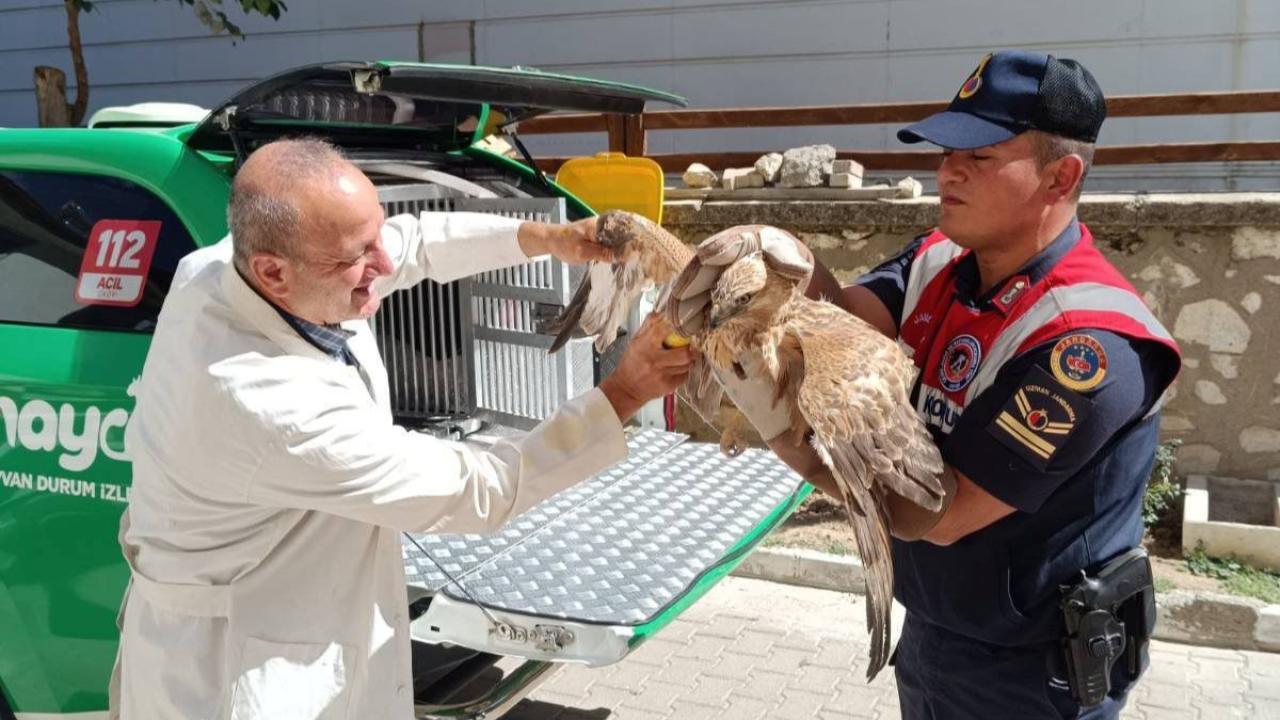 Tedavi altına alındılar
