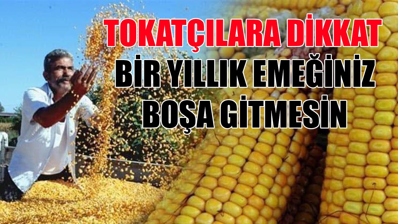 Tokatçılara dikkat