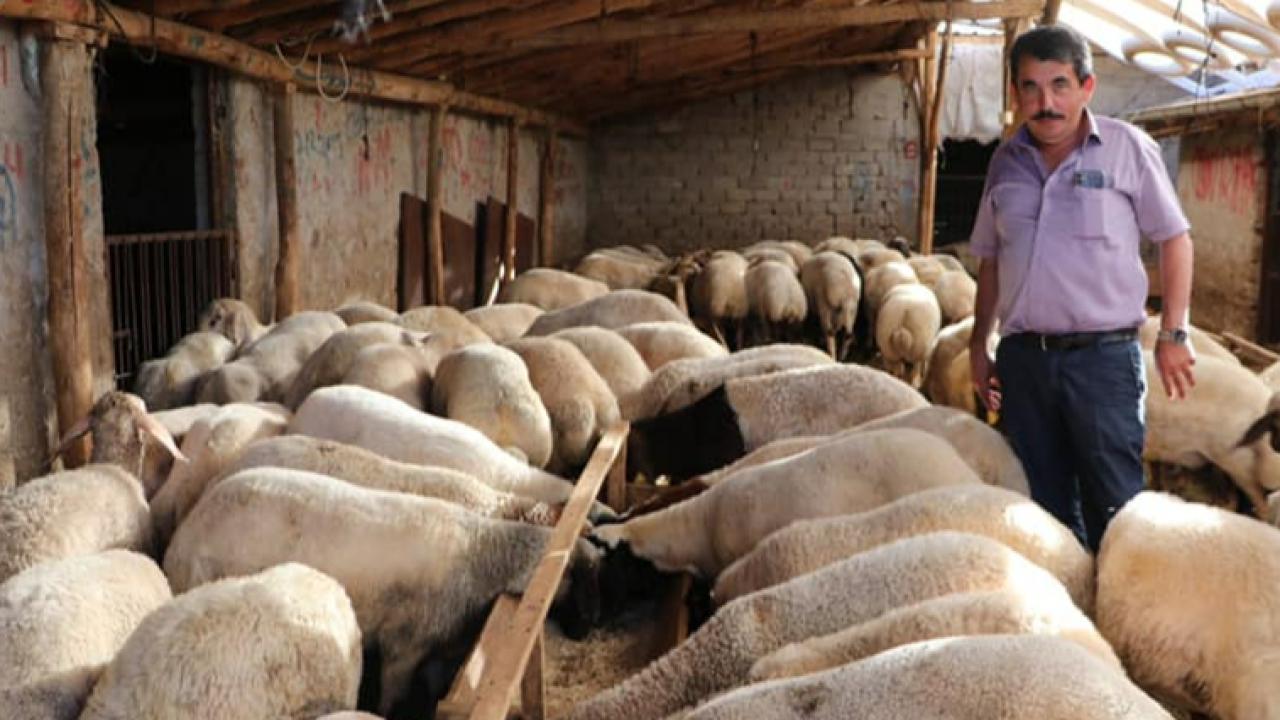 Üreticiye milyonluk destek geliyor