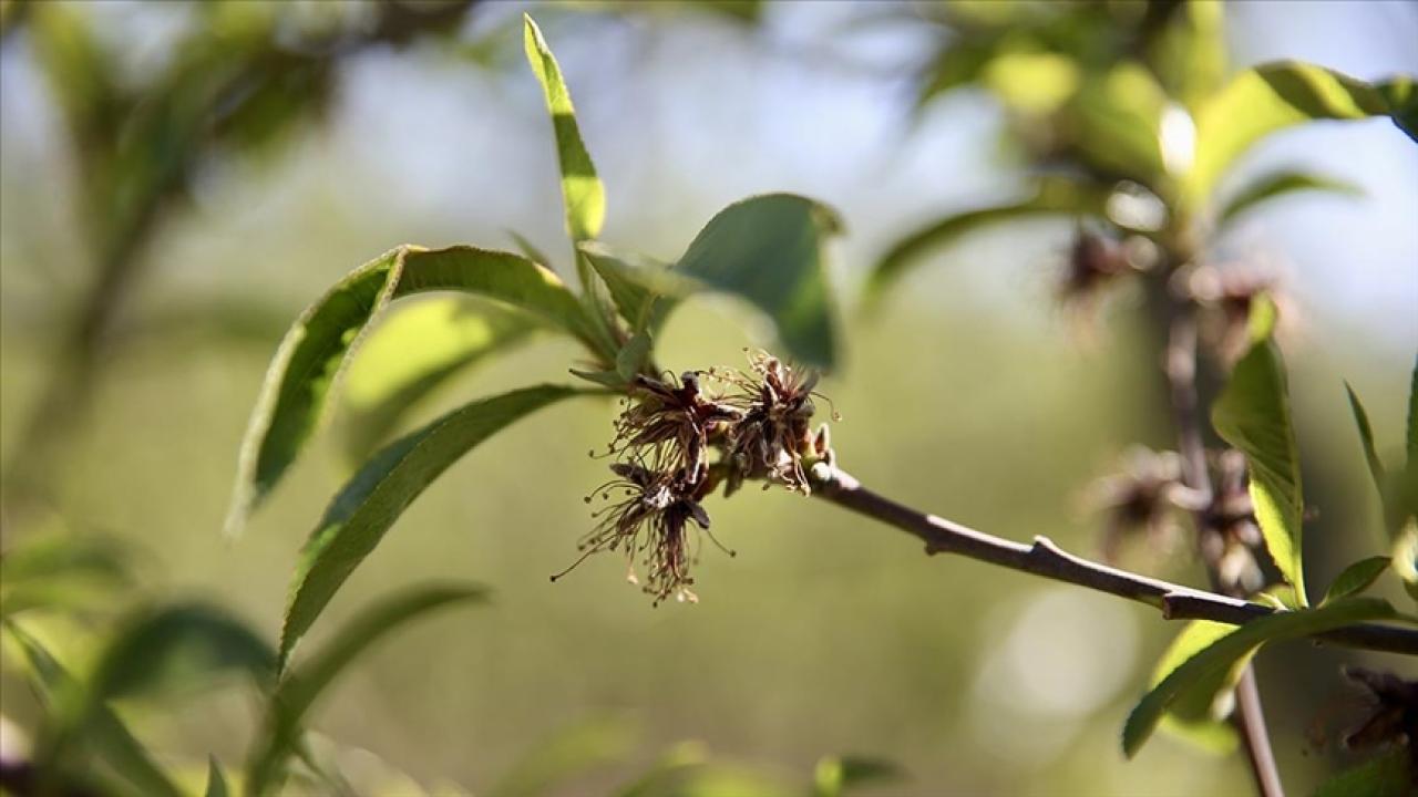 1,7 milyar lira yeni destek ödemesi