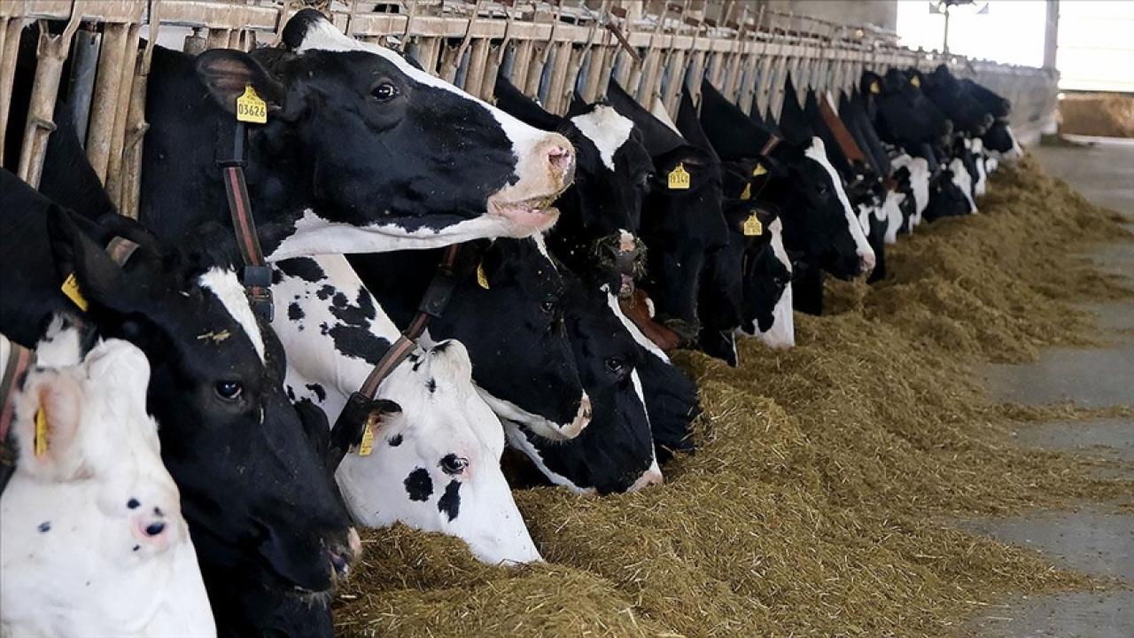 Arz sıkıntısı beklenmiyor