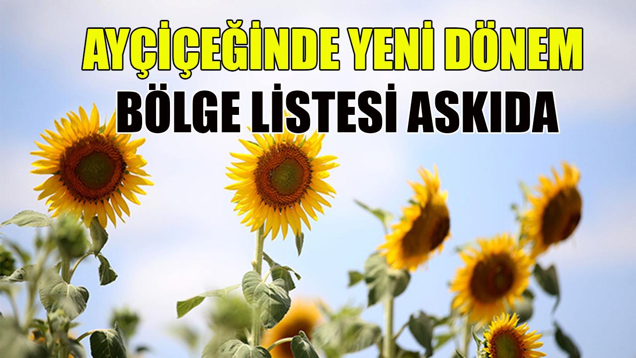 Ayçiçeğinde yeni dönem: bölge listesi askıda