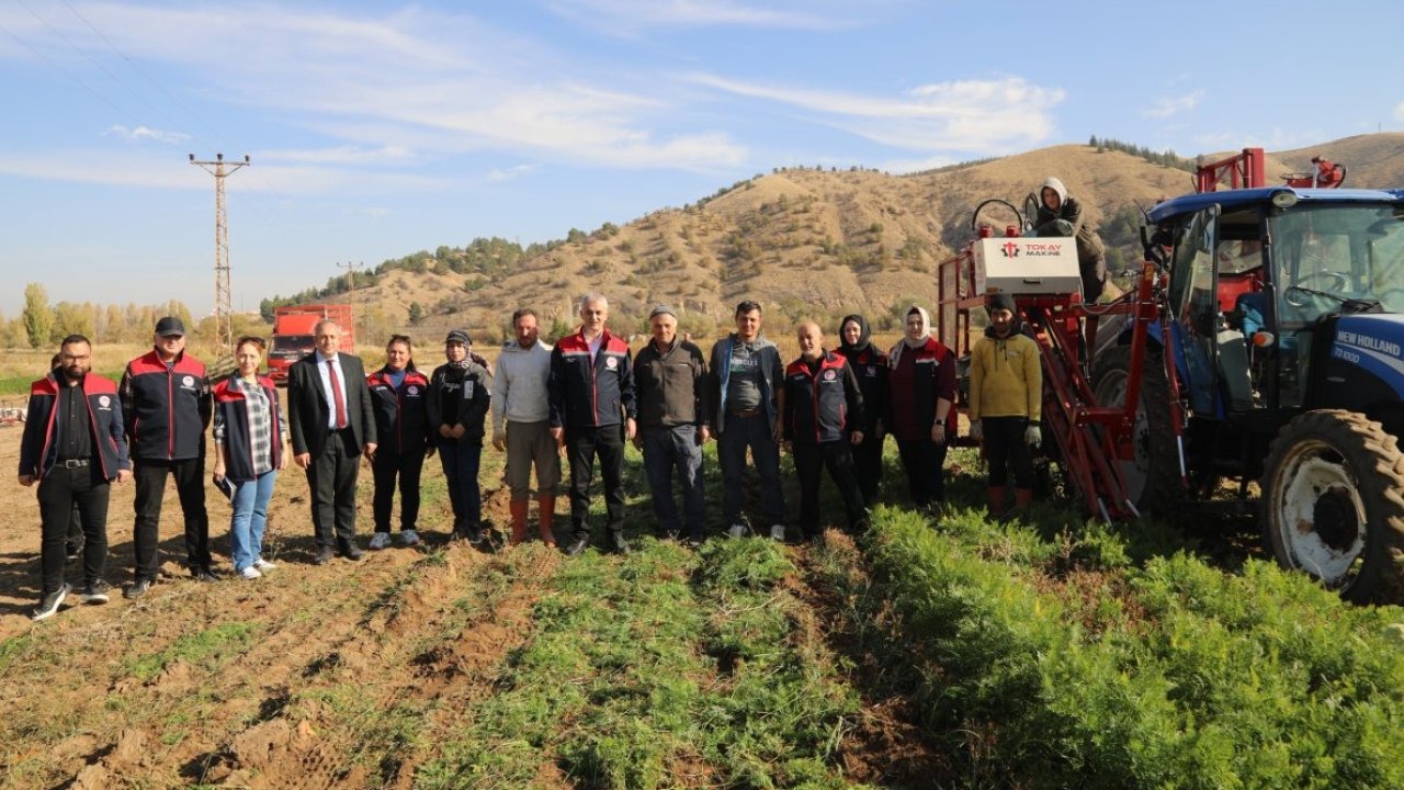Bahşılı&#039;da havuç hasadı yapıldı