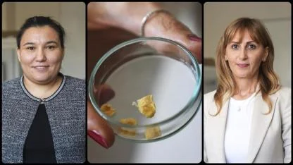 Balık kılçığı yüksek kaliteli kolajene dönüştürüldü