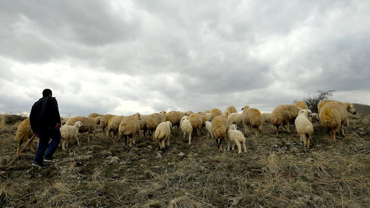 Başvurular alınmaya başladı