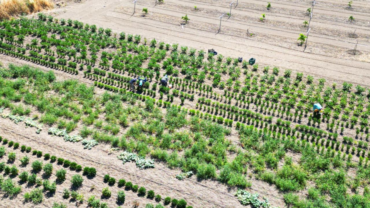 Eti Alüminyum’dan dev katkı